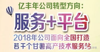 2019全國(guó)征集甘薯一站式技術(shù)服務(wù)站 助推甘薯產(chǎn)業(yè)高質(zhì)量發(fā)展